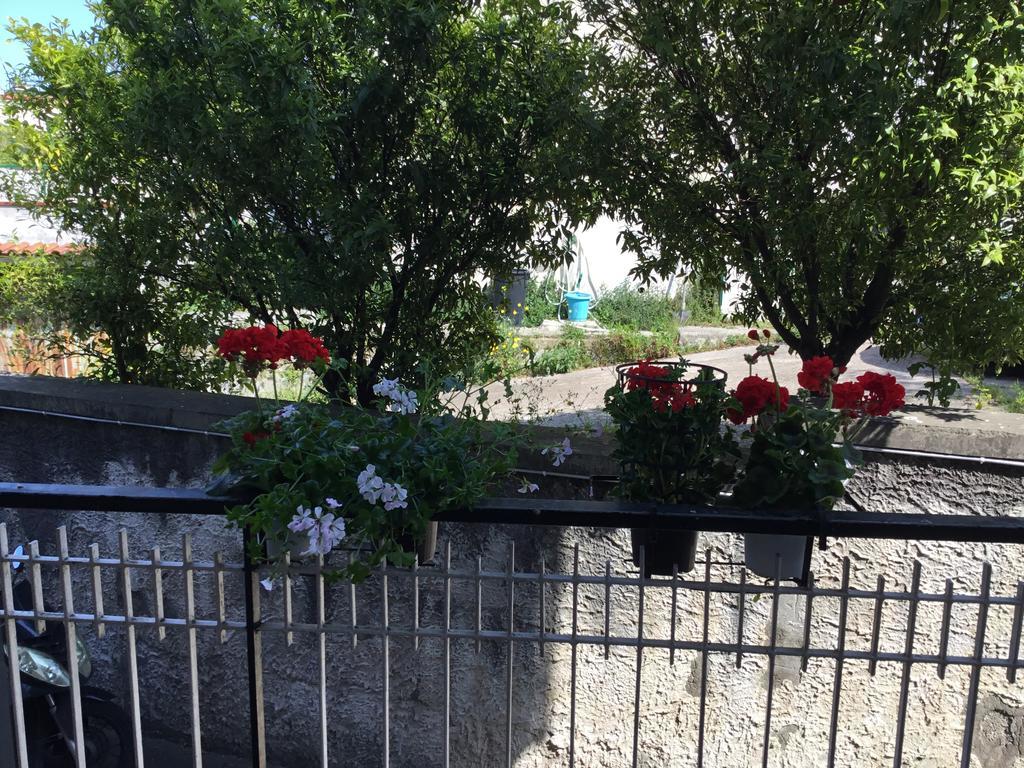 Casa Borre Διαμέρισμα Ερκολάνο Εξωτερικό φωτογραφία